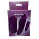 Вібратор у трусики Passion Play Magnet Panty Vibe With Remote фіолетовий 10 см - додаткове фото
