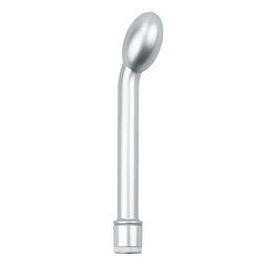 Вібратор для точки G Lovetoy iWhizz Probe 8'' сріблястий - основне фото
