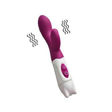 Rabbit-вибратор Ningbo aiLe Glamorous Buddy малиновый с белым 20 см - основное фото