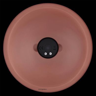Реалістичний вібратор на присосці Lovetoy 6'' Vibrating Dual Density Power Cock тілесний 16 см - основне фото