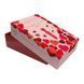 Набір для пар Dream Toys Amour The Magic of Love Wonderful Wand Kit червоний - додаткове фото