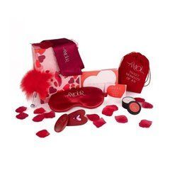 Набір для пар Dream Toys Amour The Secrets of Love Panty Play Kit червоний - основне фото