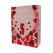 Набір для пар Dream Toys Amour The Secrets of Love Panty Play Kit червоний - додаткове фото