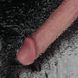 Реалістичний вібратор на присосці Lovetoy 9'' Vibrating Dual Density Power Cock тілесний 23 см - додаткове фото